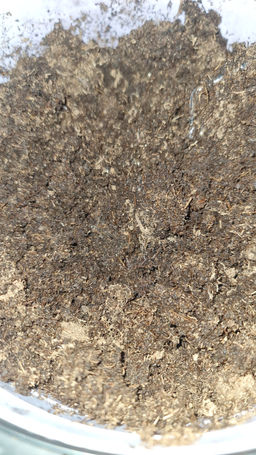 7d090049a21ddc8c0bb74a9d31fcbc576ce318zkcmnewkypq