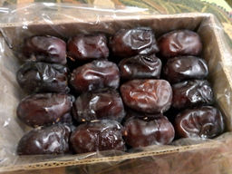 7d4bb67f1454759506033dc58554316e2flixtnejemgquxav2