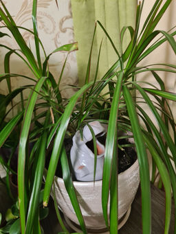 7d7471da490105627666fea5e10ded506ce3385mjikxet8