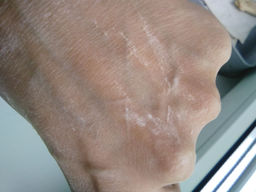 7e94af8a6cbc1432fca12f03572f807a18bq4192dbmc7o88my