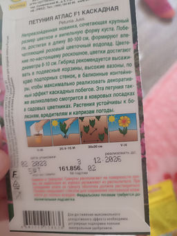 80ec4d100e86f8bcac6d6e2a5642fcf66ce3qnxtmlyyd6tc