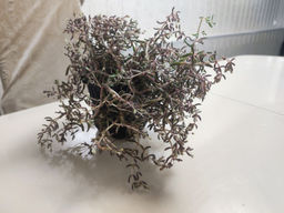 8200f9d51719c95c0067841e602db2016ce3385miyp95wb