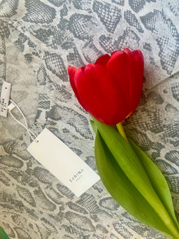 82571249e707e00575d5f98e64baa4046ce3qnxsmmhxgaom