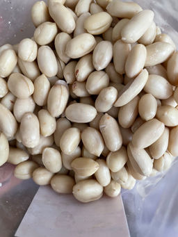 82d7bd786ccbb494938fa85fe659bb312flixtpxj3mfqoc1f1