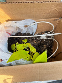 84e1b0b1e83e70de9f1d892db0237ccd6ce3qnx4mmukmc3r