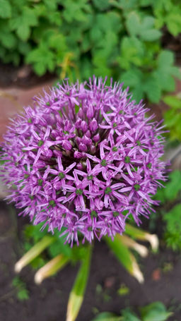 865a2857ef1edfdc121818c74fa2659du3vnr5b47mapmvd6v