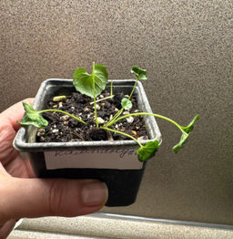 866b5492c6b0cdbdb8519e0cdbac91fe2flixt2brsdmheycmr