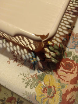 87462a92bac647a05d47e300414b6cca7xbass1nm57m4h14l9