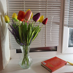 87834893bdfa67c3b74e4ed1b9a316bb6ce3qnxsmmma99dl