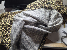 87e751c425203fe10e6900697a6927b66ce338amio05e4p