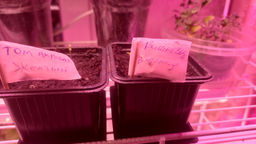 88e0b5c8b72543fdc16ae9ff8276bad46ce3qnx5mmajlanx