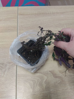 8a459eff5b5dd70e5a7882bf89b175e62flixt23ephmhhqirp