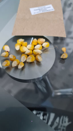 8cb589fbc7c80ddc65fcdf4cb557e6dc6ce3qnx5mn1rhzu8