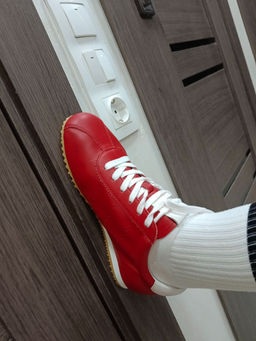 8ea895d9d1153232b0d07ebbde2218006ce3qnxtmmxkjolo