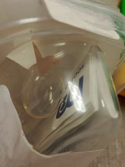 9098ddc1be51607324798359e98de4d96ce3h2s0mkwps1e0