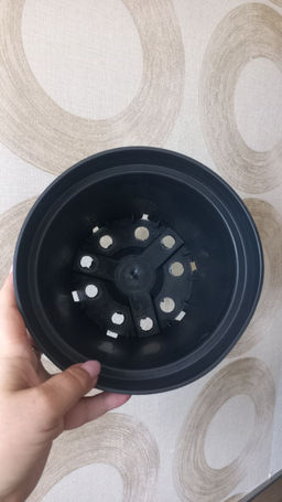 92c9f2018971ecd1ed4028a667acdc3118bq413gqnmcqhot43