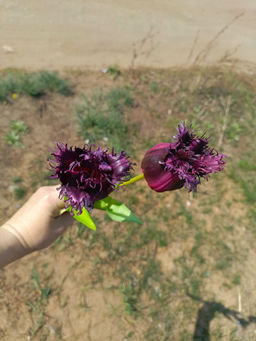 93263c4ecca1c94e9ec8e341b87e8081u3vnr1eu7ma3hsxc1