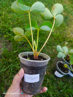 93c289a2d9c028d6b20f81ec1b4a42e81nij7620ilyd0ri3e