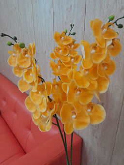 9b4e9b57cff71de83cad264ba3f2814b894u1onm2lmj26v9r