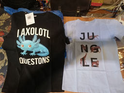 9b8f70795f6118956abadc141bea84be6ce3qnx4mmfugjmo