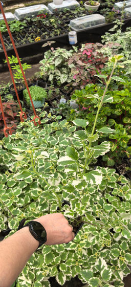 9bd22ed0fa98c90dd98390821c6ce7e0u3vnr1euymafe0szh