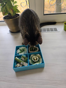 9be7568140291f209c2506e1d35d64702flixt45v5mgqi4tdv