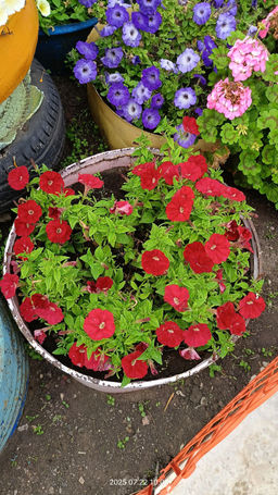 9bee825345b9d44e34d37428ac5d7308u3vnr2dosmdx4pfvn