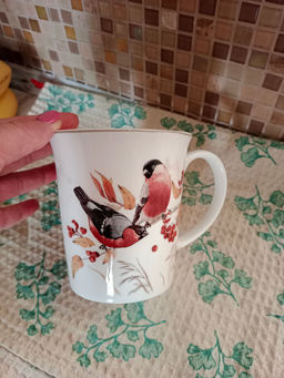 9c1a4b593cffd43eddfcbe70e7f38f8b6ce3qnx4ml9g1r3d