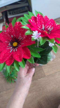 9c8ae6a79a888d2de3c7c1e6868f7de36ce3qnx4mm7oj605