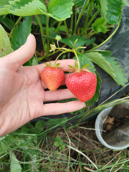 9ccc94c0bd56190d3a3043a745ba413f18bq4g3zbmc551ymg