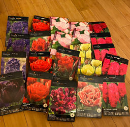 9fd82cc7ef2ceea321d2e7679efe91302flixt1mrlumfe7xvv