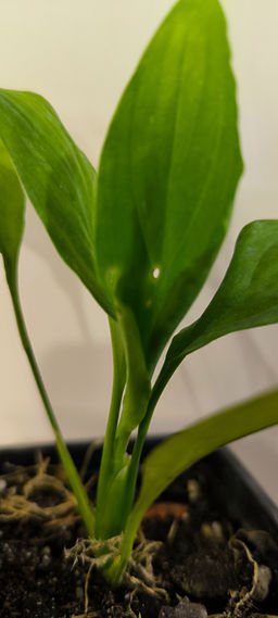 a0b6e41500aa1809d396983e945eb1316ce3qnx4mmxoy83x