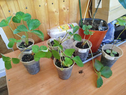 a8afaefe880ddabbb2ffd64b6d22296418bq41ql1gmbf6qrcq