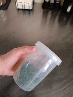 a8eb8f42deca3e77b910477e9339aa9d6ce3qnxsmmstuw8t