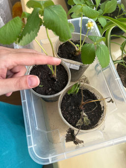 b1c593b827bd78426b4d5d7e4c6d8b2918bq4qziqmbuq2m9a