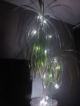 b28549ba10787a027d4509f5ddac29596ce338amjbm637y