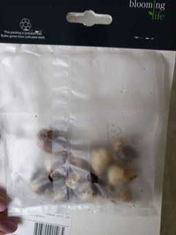 b396bcbc1f3c6429f42018f531953f9c2flixtkvrzmgtnre9g