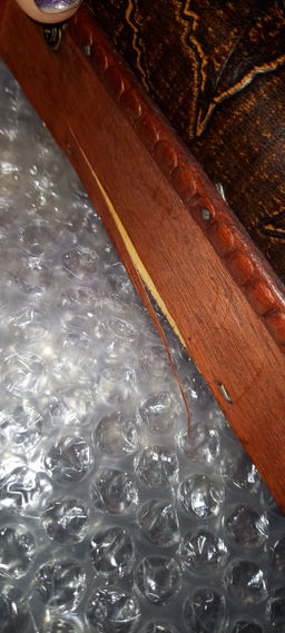 b80a29f424849793834d5eabe60dfea56ce3qnxtmlxlm2av