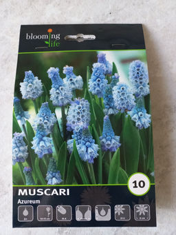 b907d66c50342eb0532ed8c3f3db77262flixtkvrzmgtnqj2z