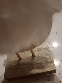 b999b34231e4bf347270d4d1bc5535186ce3385mine8geo