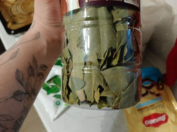 b9e1dc91101e2a1cacf2b1aa442c46ee6ce3385mikeb2k9