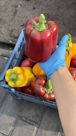 bb490fbf93056243eda6184ce878c9052flixt1mri5mfvjxmu