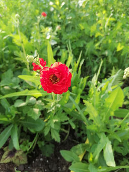 bd1cd7407cdc91b07dfa0566648acaa918bq42bde8mbyhhw0d