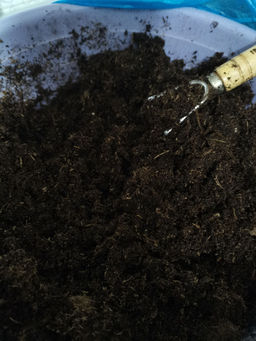 bdc4ca6f28dafa457fb0fd798a9922006ce318zkcmnewoi1u