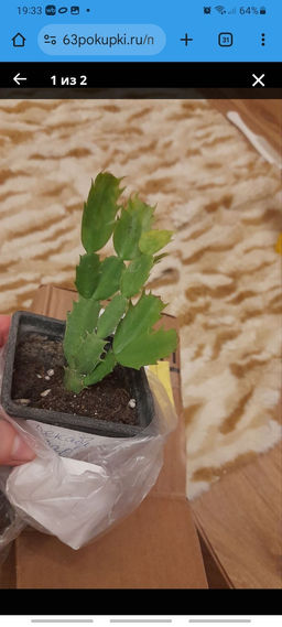 c0fcd90d16b101cd1660ae885f9b2cc06ce3385mit0z8t1