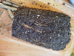 c3b2ba3dcb235b42b8ac245b7ebbef8218bq41ql1gmbf6jwcz