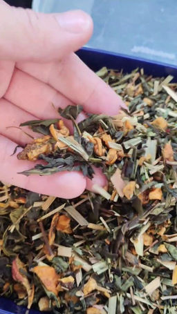 c539ac98601dbb8e4bea2e060b8fc7d22flixtmpsimfdle6w9