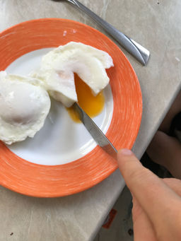 c6f8f766ece9daf9fcd37566ed58f416894u26tttlnwy40zi