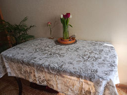 c79b6d3604510ae93e8d8395370916396ce3qnx5mmgb9gmv