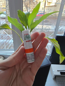 c828624c413d52f8cc431b34c6275ef86ce338amilfa4ry